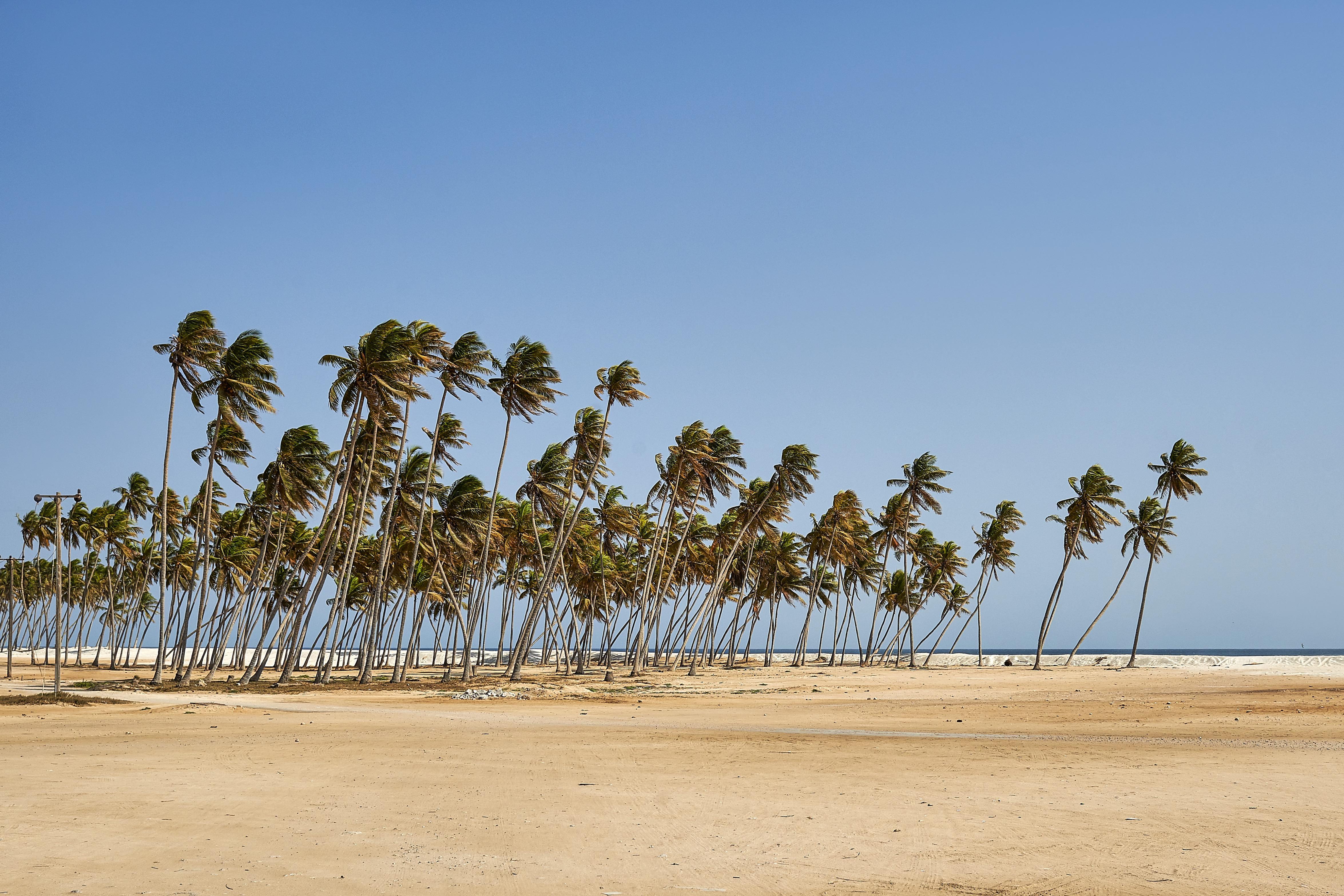 Salalah Gardens Hotel Managed By Safir Hotels & Resorts Exterior foto